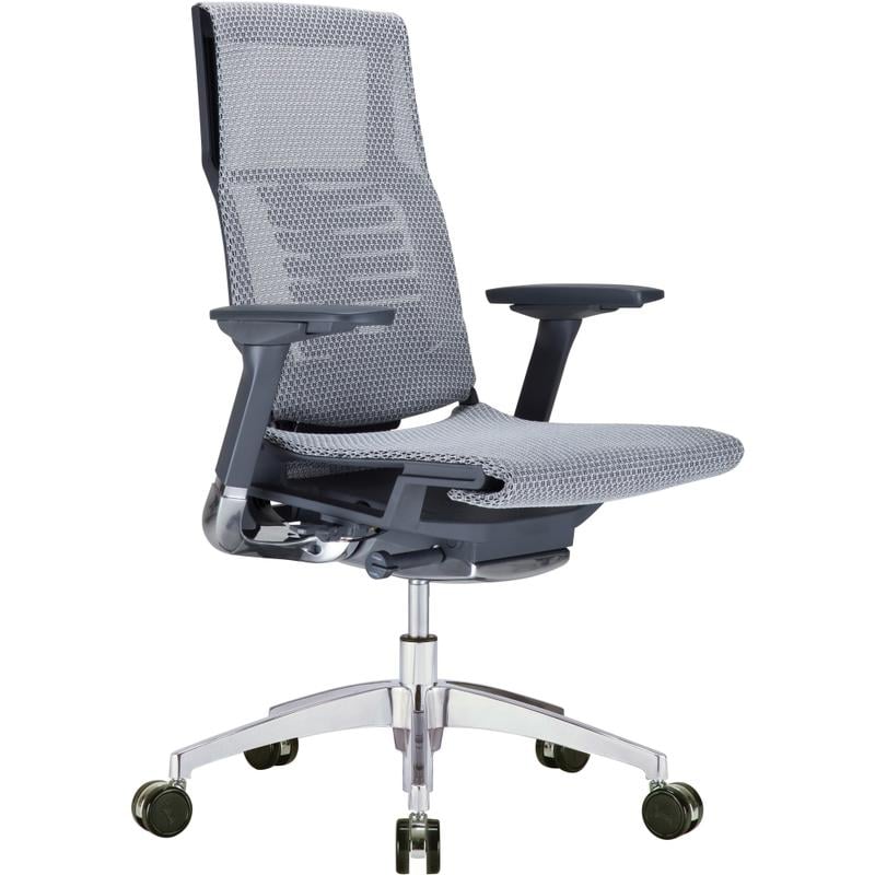 Raynor Powerfit Ergonomic Mesh Mid-Back Executive Chair, Black/Gray MPN:PFT2-BLK-MGRY