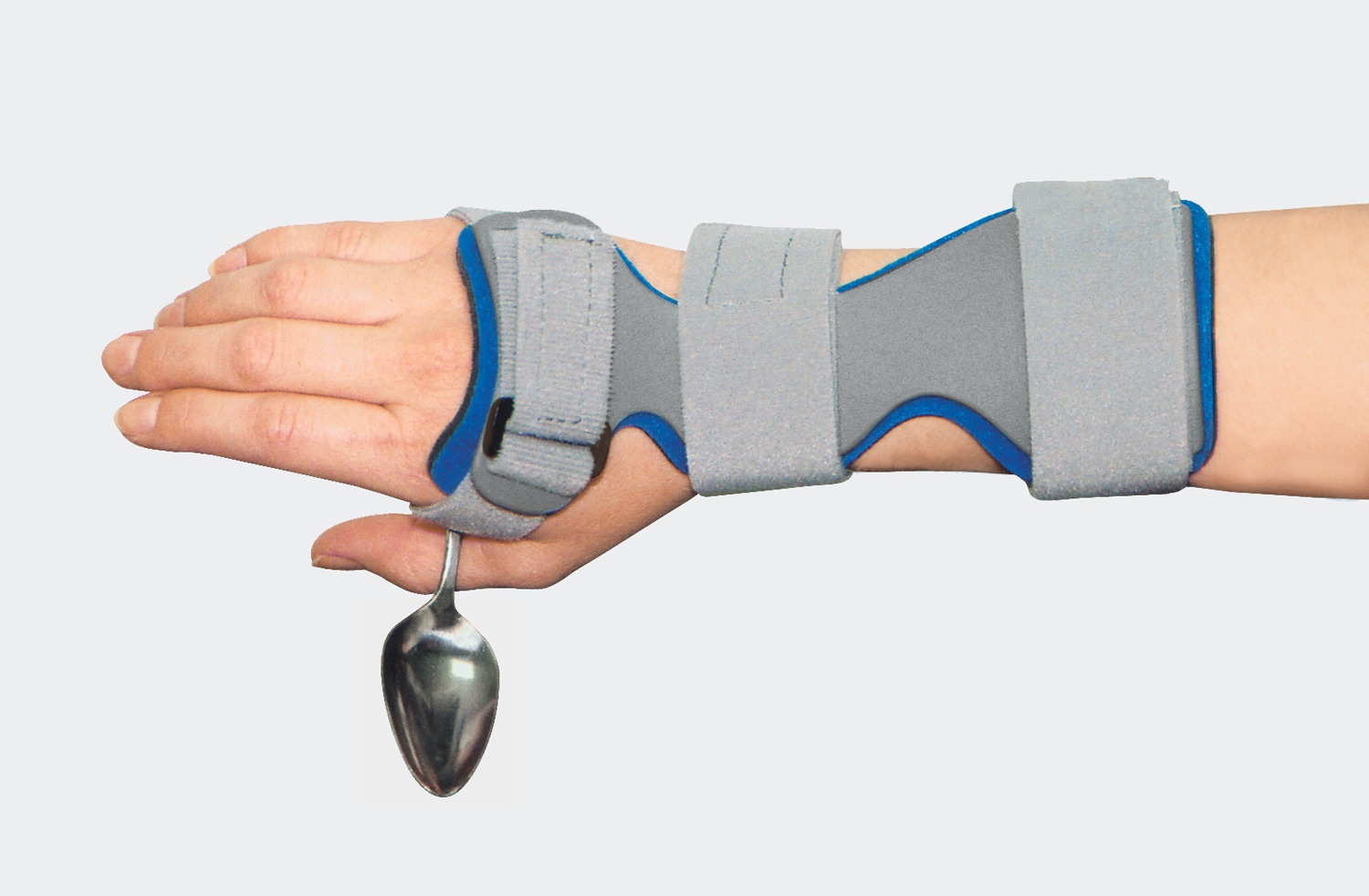 Example of GoVets Orthosis Splints category
