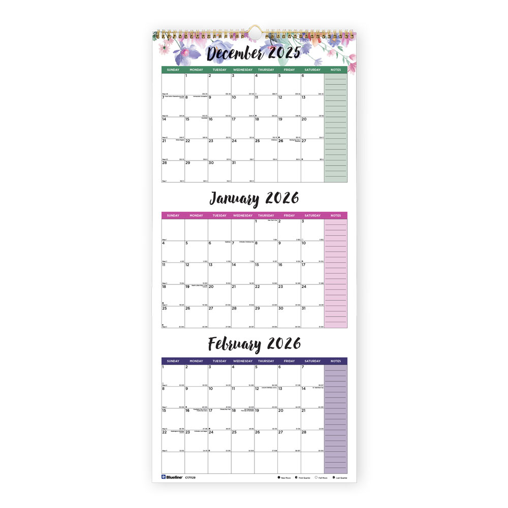 2025-2027 Blueline 3-Month Wall Calendar, 12-1/4in x 27in, Passion, December 2025 To January 2027, C171129 MPN:C171129-26