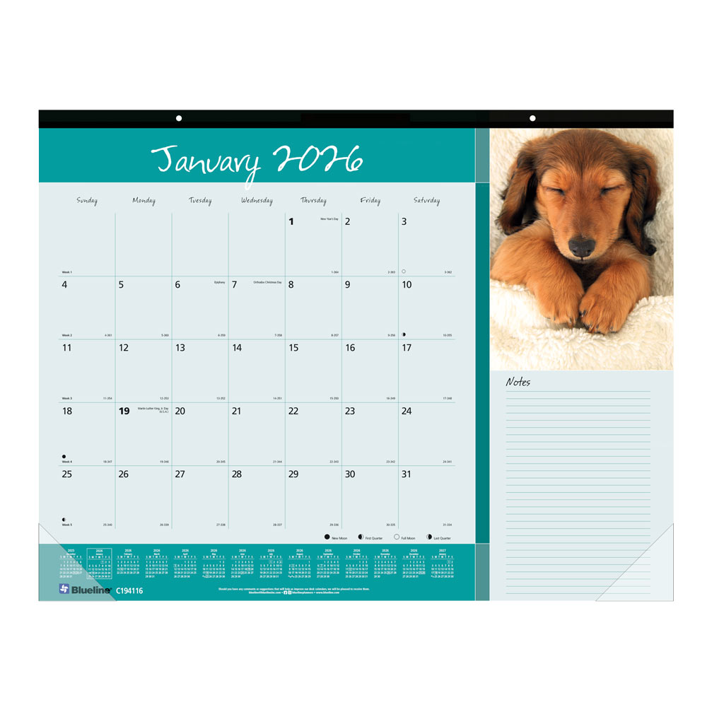 2026 Blueline Colorful Monthly Desk Pad Calendar, 22in x 17in, Best Friends, January To December, C194116 MPN:C194116-26