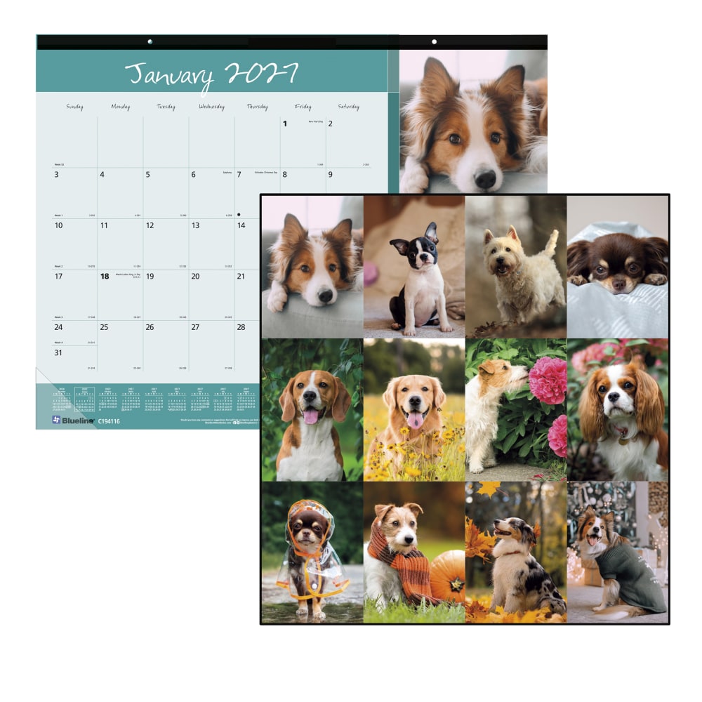 2027 Blueline Colorful Monthly Desk Pad Calendar, 22in x 17in, Best Friends, January To December, C194116, Total Qty 1 MPN:C194116-27