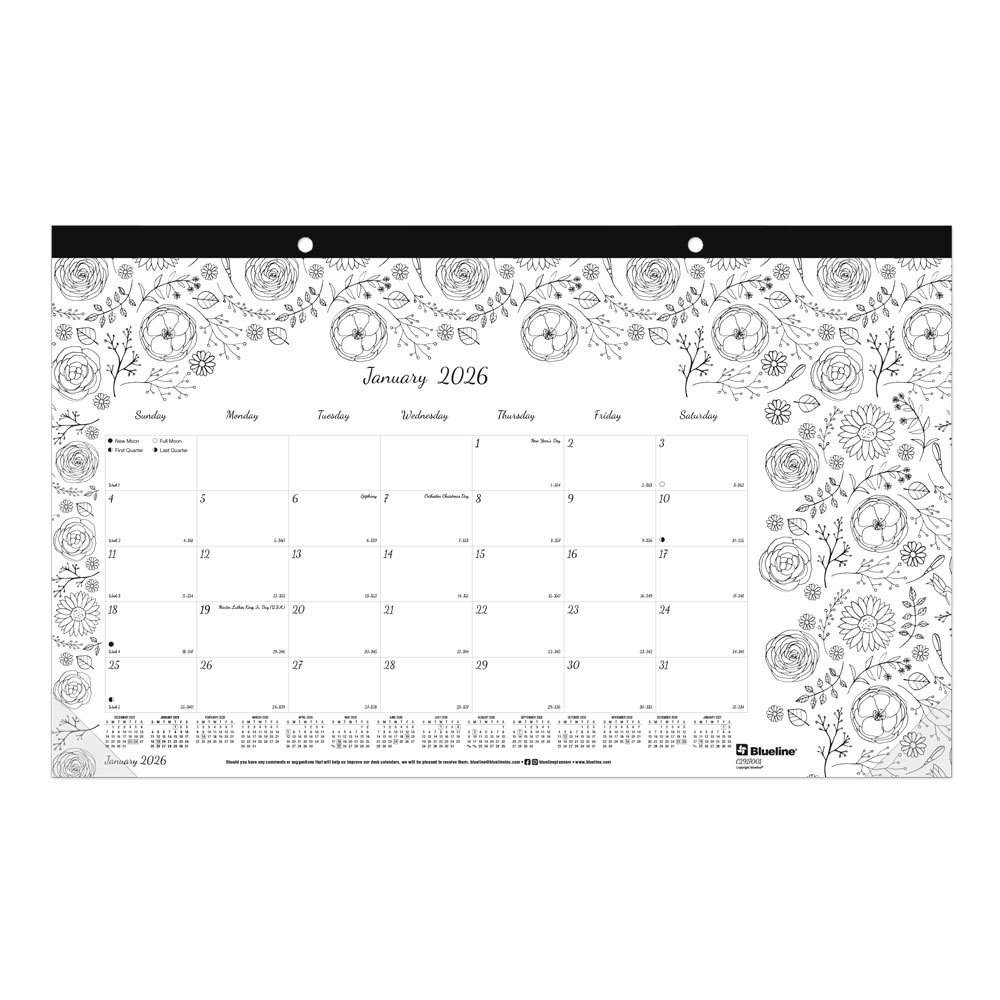 2026 Blueline DoodlePlan Monthly Desk Pad Coloring Calendar, 17-3/4in x 10-7/8in, Motif, January To December, C2917001 MPN:C2917001-26
