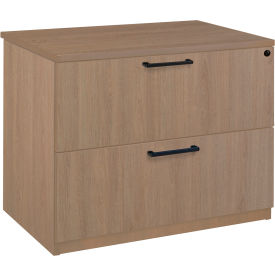 Regency® Legacy 2 Drawer Lateral File 36
