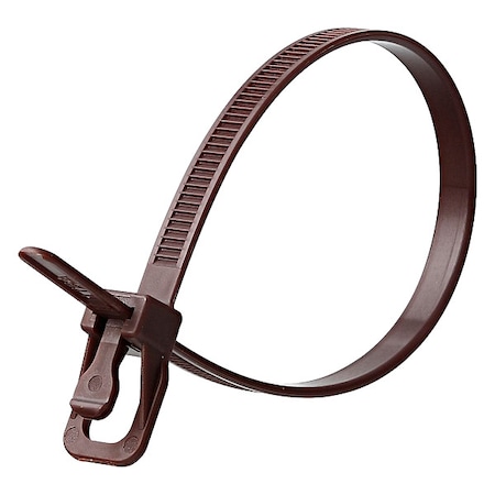 Cable Tie, 12 in L, 3.34 in Max Bundle Dia., Brown, Nylon 6/6, 50 lb Strength, 100 PK MPN:EVT-S12BR-TA