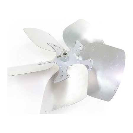 Fan, 16