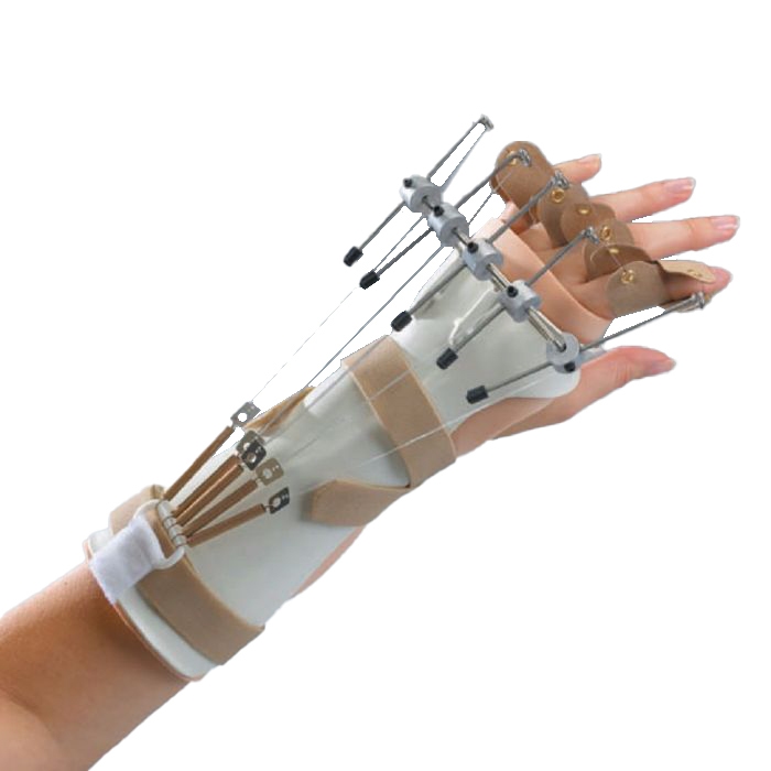 Example of GoVets Dynamic Splints category