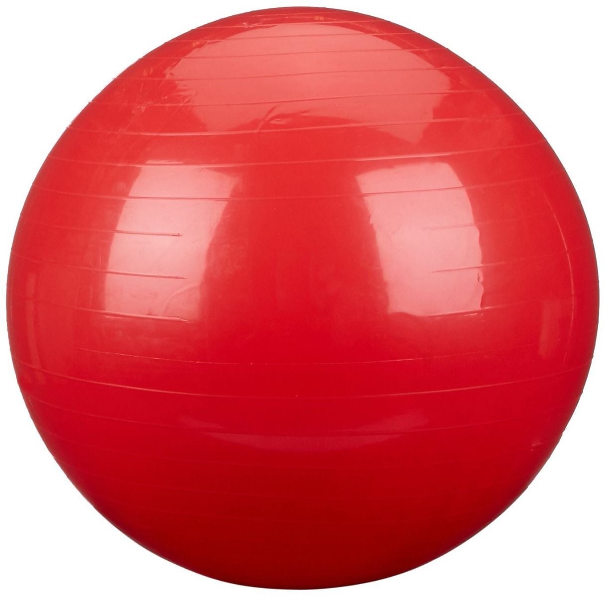 Example of GoVets Exercise Ball category