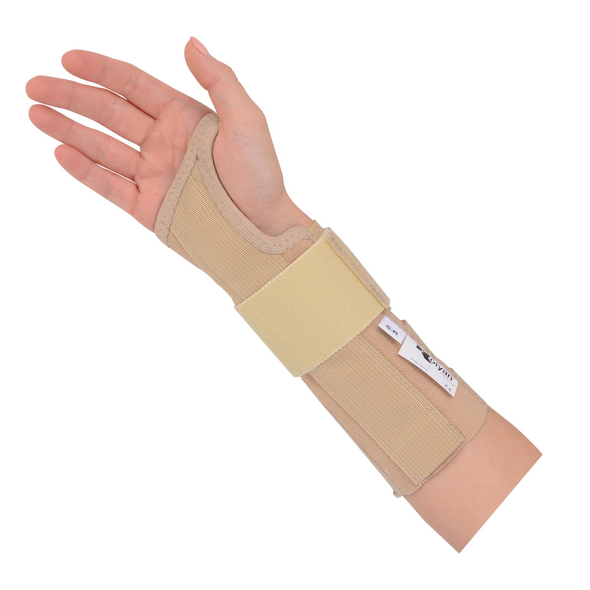 Example of GoVets Rolyan category