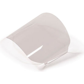 RPB Safety ZLink Safety Lens 16-810