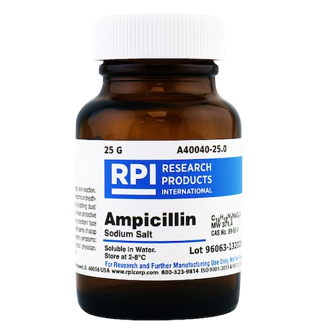 Ampicillin, Sodium Salt, 25g MPN:A40040-25.0