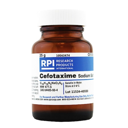 Cefotaxime, Sodium Salt, 25g MPN:C51000-25.0