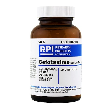 Cefotaxime, Sodium Salt, 50g MPN:C51000-50.0