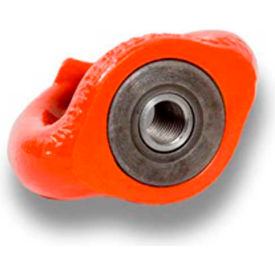 Swivel Eye Nut - M 24 FE.SEB M 24