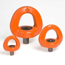 Swivel Eye Bolt - M 36 SEB M 36