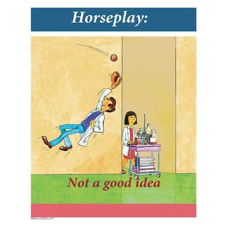 Safety Poster, Horseplay - Not A Good Idea, 22 in H x, 17 in W, Paper MPN:SW0027