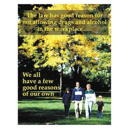 Safety Poster, 22 in H x, 17 in W, Paper MPN:SW0053