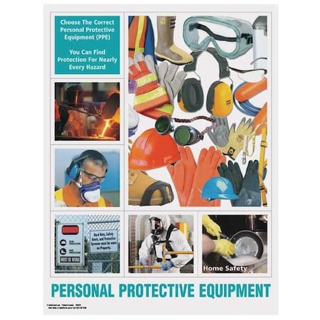 Safety Poster, 22 in H x, 17 in W, Paper MPN:SW0223