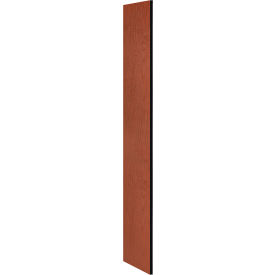 Side Panel 22233 for 18