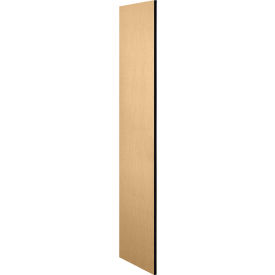 Side Panel 22235 for 21