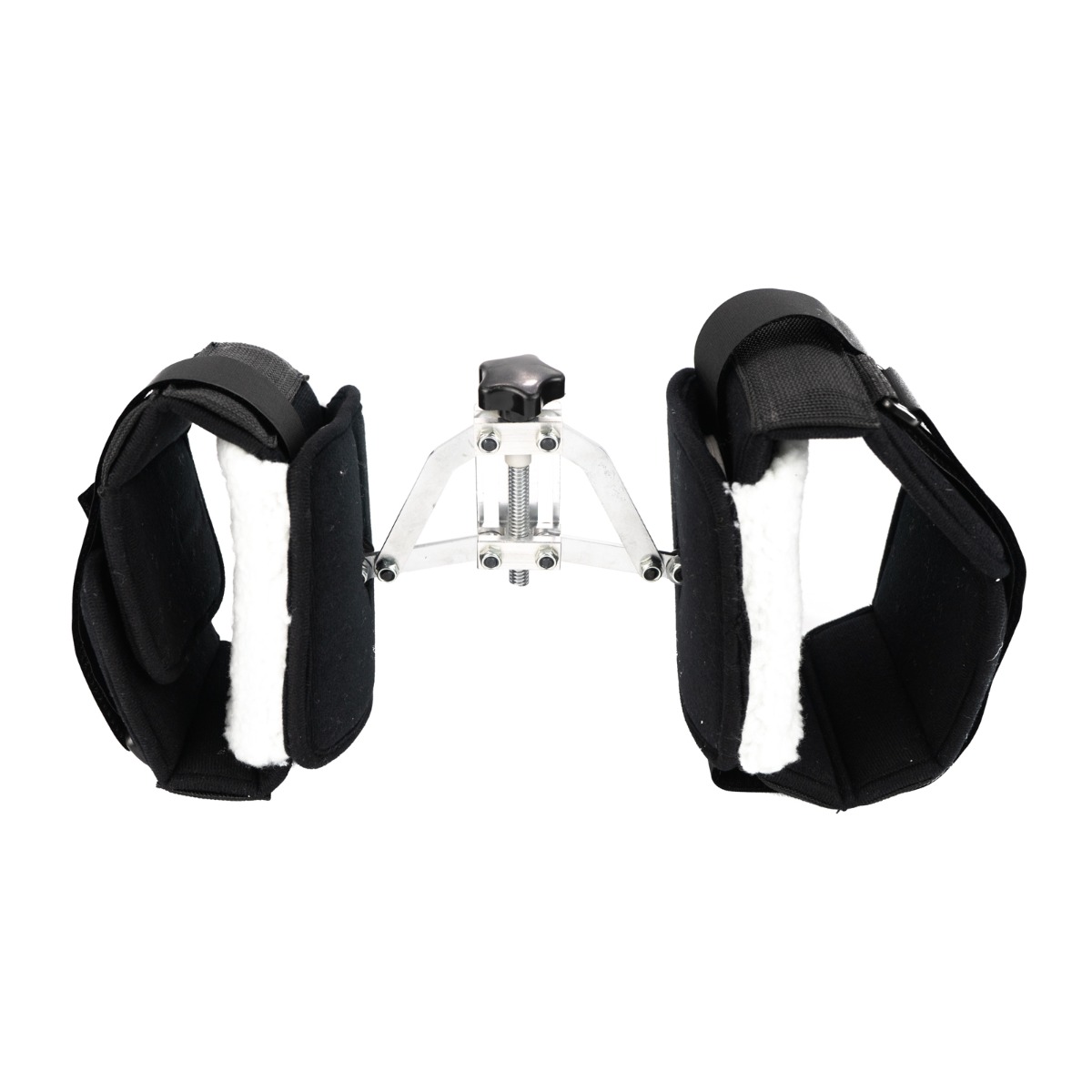 Example of GoVets fp Abductors category