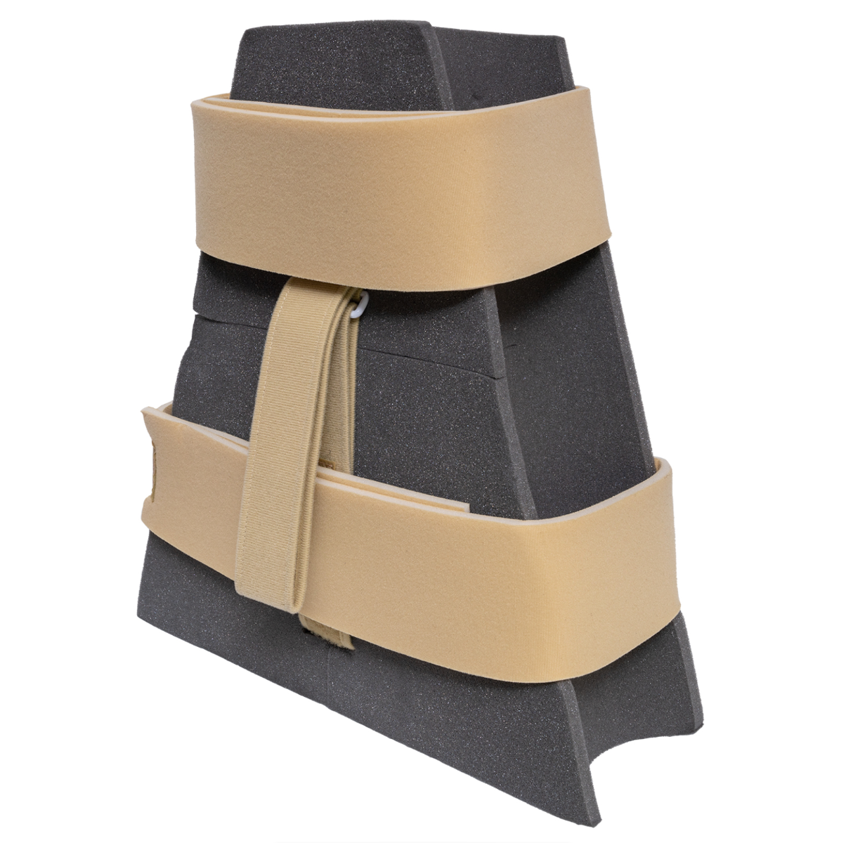 Example of GoVets fp Abductors category