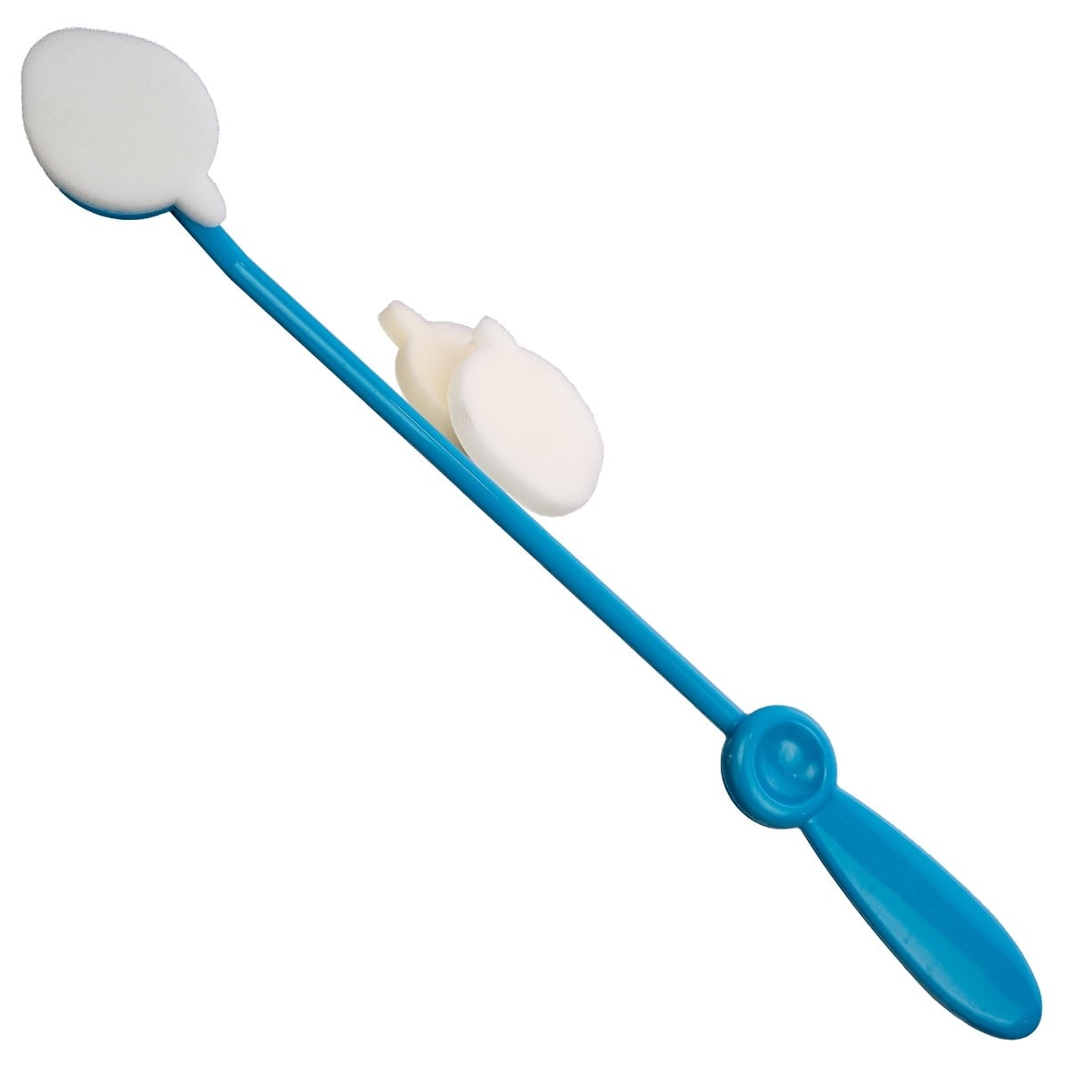 Example of GoVets General Grooming category