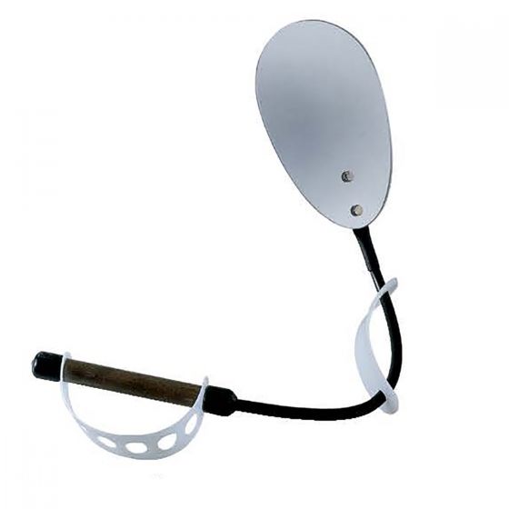 Example of GoVets Inspection Mirrors category