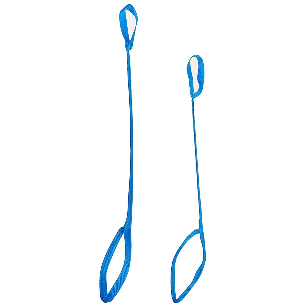 Example of GoVets Leg Lifters category