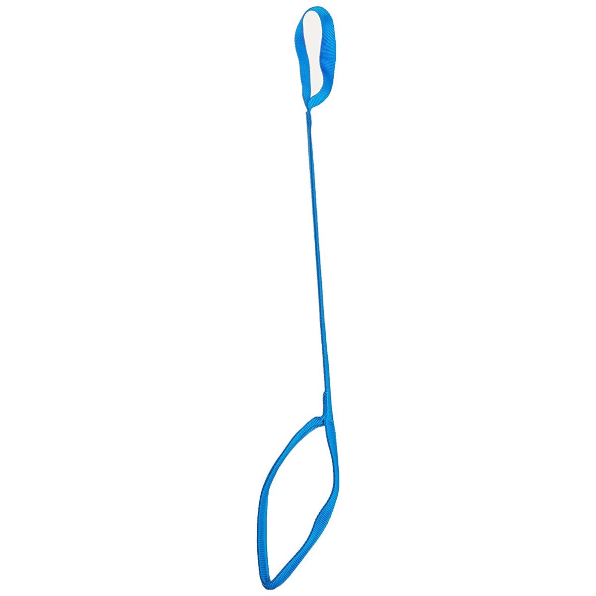 Example of GoVets Leg Lifters category