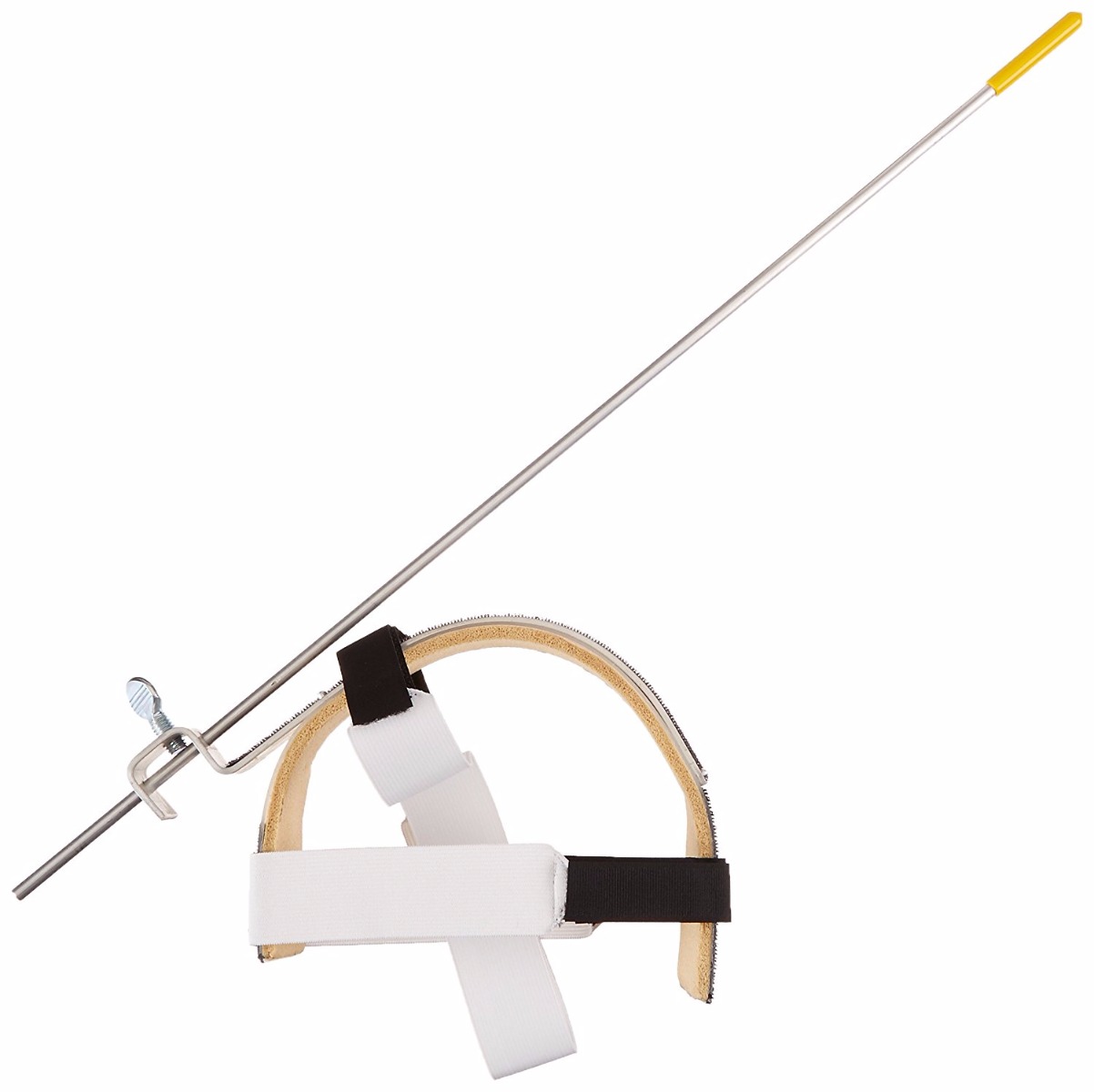 Example of GoVets Mouthsticks Pointers category