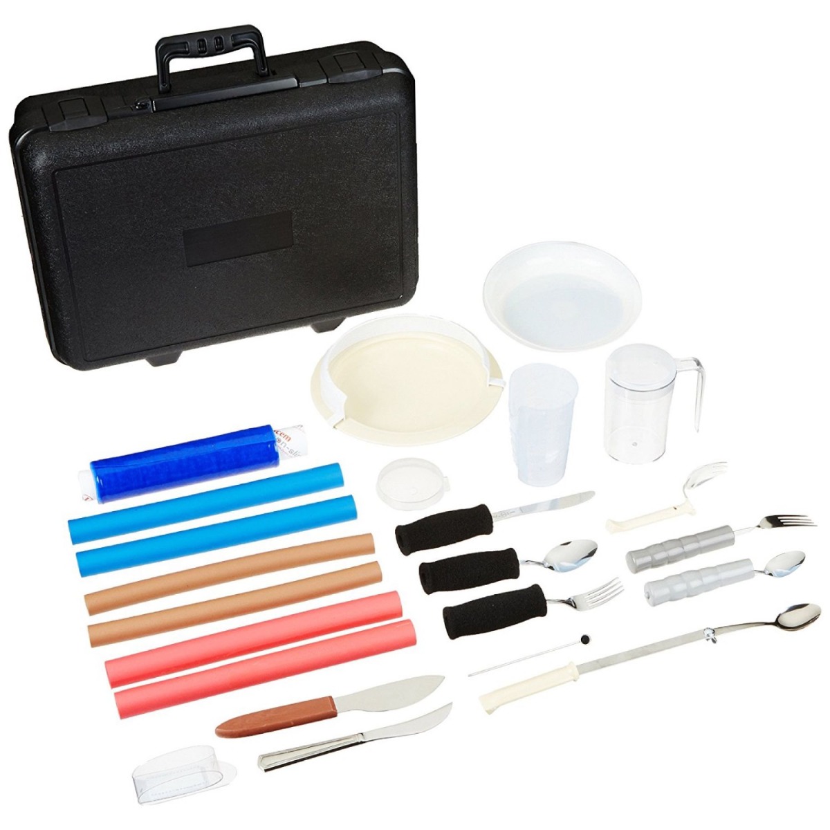 Example of GoVets Oral Assessments and Training category