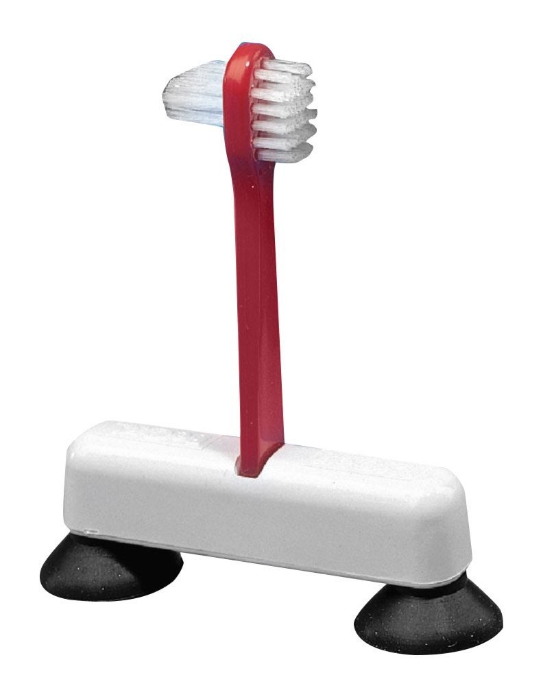 Example of GoVets Oral Care category