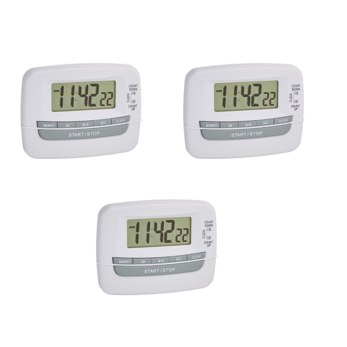 Example of GoVets Timers Scales category