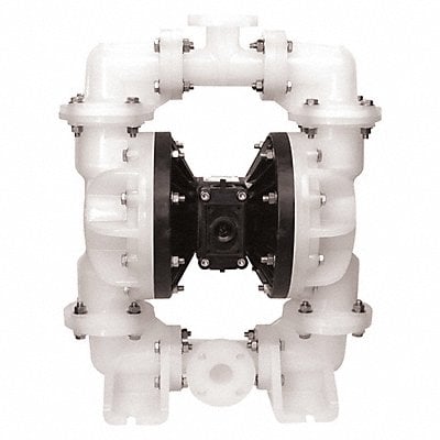 Double Diaphragm Pump Air Operated 2 MPN:S20B3P1PPUS000.
