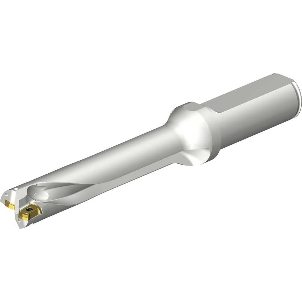 Indexable Insert Drill: DS20-D1650L20-05, 16.50 mm Max Dia, 82.96 mm Max Depth, 5xD, 20.00 mm Shank Dia MPN:8009510