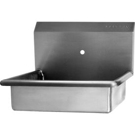 Sani-Lav® Wall Mount Sink with One 0.875