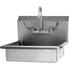 Sani-Lav® 5A4F-0.5 Wall Mount Sink With Low-Flow Faucet 5A4F-0.5