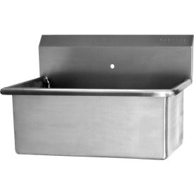 Sani-Lav® 5310 Wall Mount Scrub Sink With One 0.875