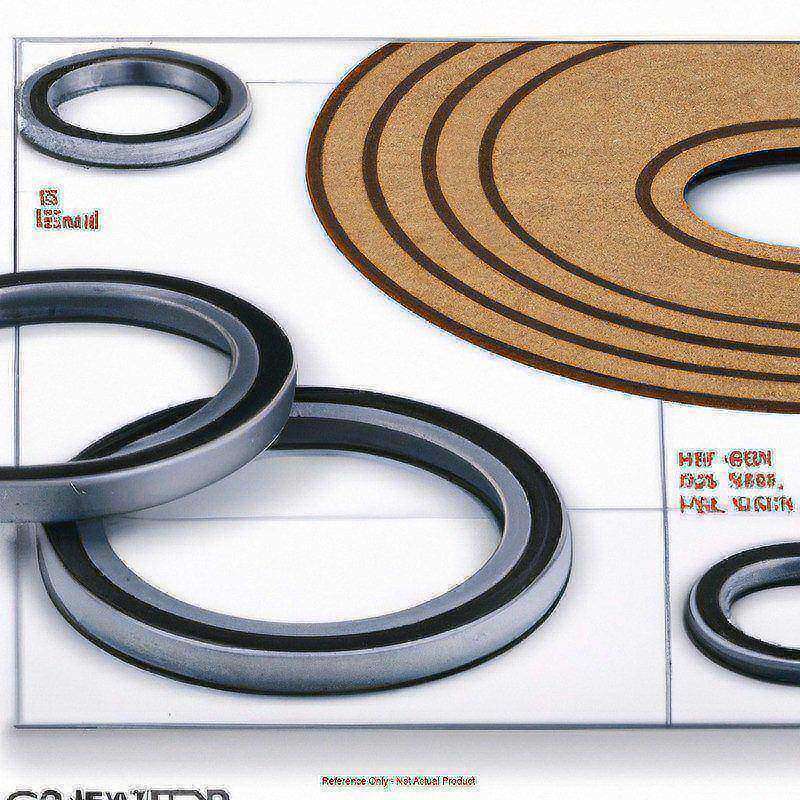 Viton Clamp Gasket 2 MPN:GTCV-200