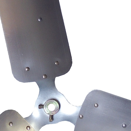 Example of GoVets Schaefer category
