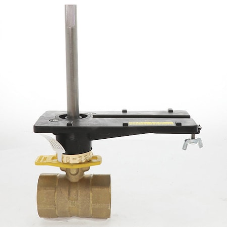 Ball Valve, 1-1/4