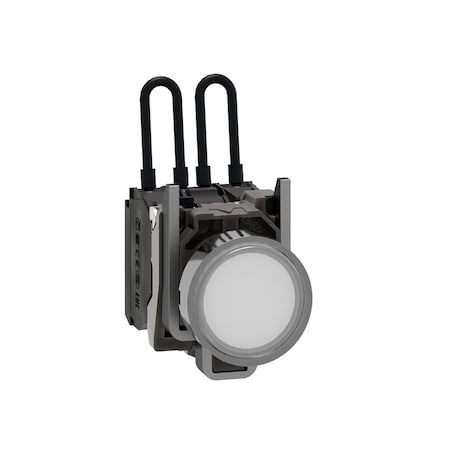Push-to-test pilot light, Harmony XB4, metal, white, universal LED, screw clamp terminals, 110.120V MPN:XB4BW21G5