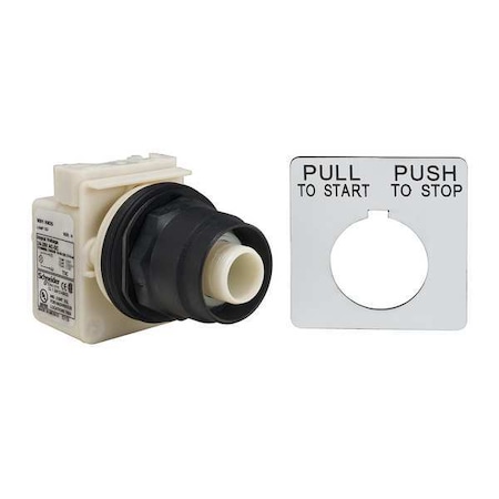 Illuminated Push Button Operator, 30 mm, No Cap MPN:9001SKR8P35