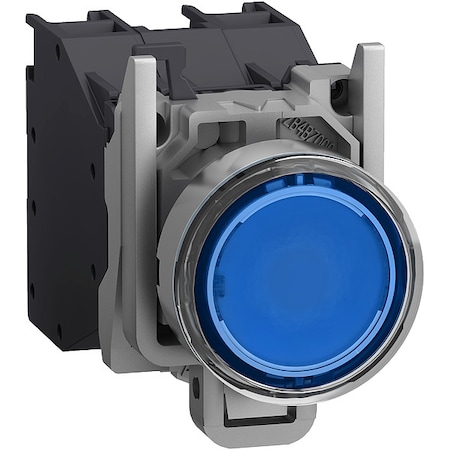 Illuminated Push Button, Flush, Momentary Action, Not Applicable Release, Illuminated, Blue MPN:XB4BP683BM5GEX
