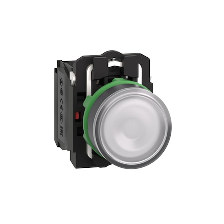 IllumPushButton, FullVolt, White, 1NO/1NC MPN:XB5AW31G5