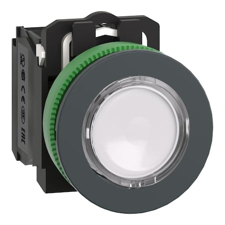 Illuminated Push Button, 30 mm, 1NO/1NC, White MPN:XB5FW31M5