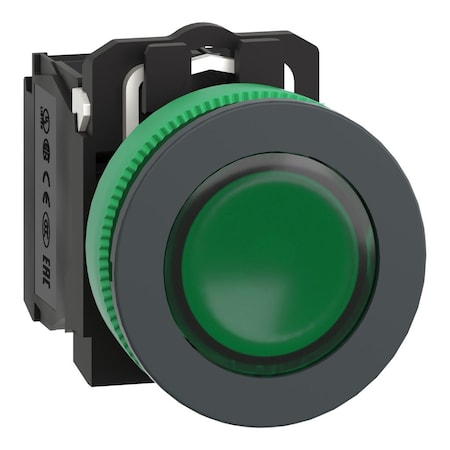 Illuminated Push Button, 30 mm, 1NO/1NC, Green MPN:XB5FW33B5
