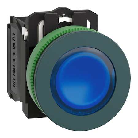 Illuminated Push Button, 30 mm, 1NO/1NC, Blue MPN:XB5FW36G5