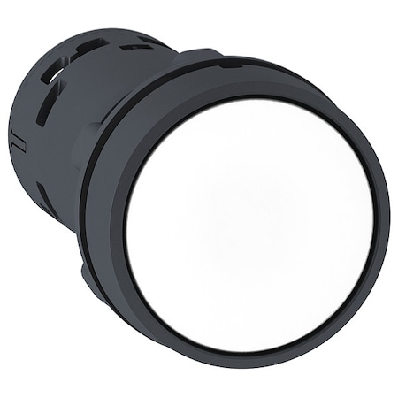 Push-Button, 22 mm, White MPN:XB7NA11