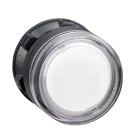 Illuminated Push Button, Flush, Maintained Action, Push Release, Illuminated, Clear MPN:ZB5AW37